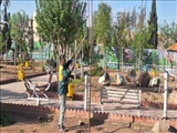 آغاز حذف سرشاخه های خشک درختان سطح شهر فرون آباد