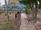 بهسازی پارک شهر آغاز شد