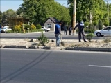علف زنی و بهسازی فضای سبز شهرصفادشت