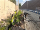 اجرای مستمر طرح لایروبی جوی های روباز در سطح شهر فرون آباد