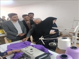 کارگاه اشتغال بانوان توانند روستایی در بخش مرکزی افتتاح شد