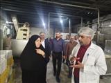 بازدید بخشدار مرکزی ملارد از یک واحد صنعتی تولیدی در شهرک صنعتی روستای قپچاق