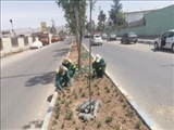 عملیات گل‌کاری و زیباسازی مناظر اصلی شهر فرون آباد ادامه دارد