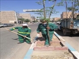 کاشت انواع درخت در معابر شهری فرون آباد ادامه دارد