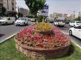 تداوم عملیات كاشت گل در راستای ارتقای سیما و منظر شهرقدس