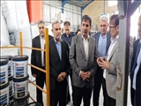 بازدید معاون هماهنگی امور اقتصادی استانداری تهران از واحدهای تولیدی شهرستان بهارستان