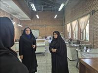 توسعه اشتغال و کارآفرینی مددجویان مرکز آموزشی درمانی روانپزشکی رازی امین آباد را با جدیت پیگیری می کنیم