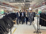 ادامه بازدیدهای یکشنبه‌های صنعتی/ فرماندار رباط‌کریم از دو واحد تولیدی اشتغال‌زا بازدید کرد