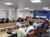 تشکل ها مشابه چراغی روشن در مسیر خدمت‌رسانی به جامعه هدف می‌باشند