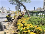 كاشت بیش از 105 هزار نهال، درختچه و انواع گل های فصلی و دائمی در شهرقدس طی 5 ماهه اخیر