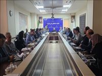 تصمیمات کارگروه زیربنایی می‌تواند مسیر توسعه متوازن و پایدار را هموار کند