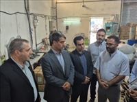 حمایت از کسب‌وکارها و رفع موانع تولید از وظایف مسئولان شهرستان قرچک است