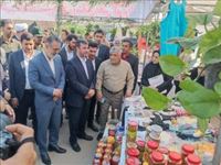 جشنواره فرهنگی و بومی محلی بخش کهریزک باحضور فرماندار ویژه شهرستان ری برگزار شد
