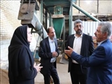 پشتیبانی فرمانداری قدس از تولیدکنندگان؛ بازدید از واحد تولیدی کوشان طیور