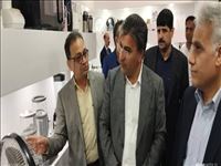 بازدید معاون اقتصادی استاندار تهران از طرح توسعه گردشگری و اقامتی باغ پرندگان و نمایشگاه بین‌المللی تهران