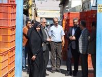 فرماندار قدس از خط تولید پلاستیک گستران البرز بازدید کرد