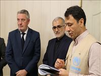 تأکید بر همکاری بین‌المللی در حمایت از مهاجرین مجاز