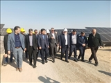 بازدید میدانی استاندار تهران از پروژه‌های نیروگاه خورشیدی در جنوب پایتخت با هدف رفع موانع؛ گامی بزرگ برای تامین انرژی پایدار