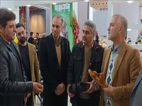 تأکید فرماندار بهارستان بر رفع موانع تولیدکنندگان کفش در بازدید از نمایشگاه تخصصی شهر آفتاب