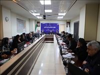 برگزاری جلسه کمیته بررسی واریز، وصول و هزینه کرد منابع ارزش افزوده دهیاری‌ها و روستاهای فاقد دهیاری‌ استان
