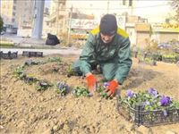 آغاز طرح استقبال از بهار با بهسازی فضای سبز شهرقدس