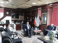 نشست معاون وزیر ورزش و رئیس فدراسیون والیبال با استاندار تهران