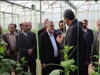 همزمان با نهمین روز از ایام‌الله دهه فجر انقلاب اسلامی؛ ورامین میزبان سفر توسعه‌محور استاندار تهران شد