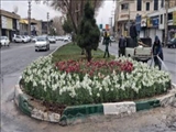 تداوم خدمت در شرایط جنگی؛ اجرای مستمر طرح استقبال از بهار در شهرقدس
