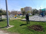 تمهیدات شهرداری قدس در بوستان‌های سطح شهر جهت میزبانی از شهروندان در روز طبیعت