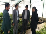 بازدید مدیركل دفتر فنی، امور عمرانی، حمل‌ونقل و ترافیك استانداری تهران از پروژه‌های عمرانی شهرداری قدس