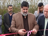 پروژه تجهیز ساختمان اداری شهرداری آبسرد به سیستم پنل خورشیدی رونمایی شد