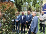 غرس ۳۰ اصله نهال در بوستان شهدای گمنام نصیرشهر همزمان با هفته زمین پاک