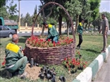 احیای فضای سبز بلوار اصلی شهرقدس با كاشت بیش از ۱۵ هزار گل و گیاه زینتی
