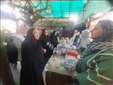 از مهارت‌آموزی تا کارآفرینی؛ بازدید مدیرکل دفتر زنان و خانواده استانداری تهران از نمایشگاه مشاغل خانگی بانوان