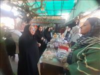 از مهارت‌آموزی تا کارآفرینی؛ بازدید مدیرکل دفتر زنان و خانواده استانداری تهران از نمایشگاه مشاغل خانگی بانوان
