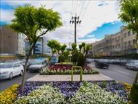 كاشت بیش از ۱۴۵ هزار گل و گیاه در شهرقدس طی سه‌ماهه اول امسال