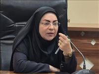 رضایی: هم‌افزایی دستگاه‌های اجرایی استان تهران برای تحقق اهداف قانون جوانی جمعیت ضروری است