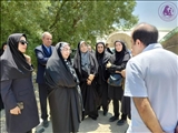 رضایی: حمایت از بانوان کارآفرین زمینه‌ساز تقویت اقتصاد خانواده و اشتغال‌آفرینی است
