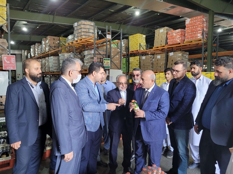بازدید استاندار کربلا معلی از شهرستان