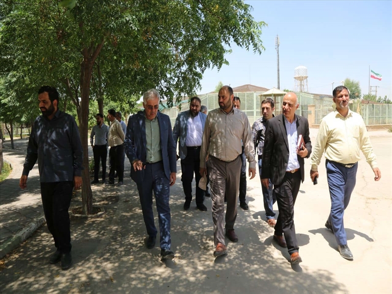 بازدید میدانی شهردار باقرشهر از