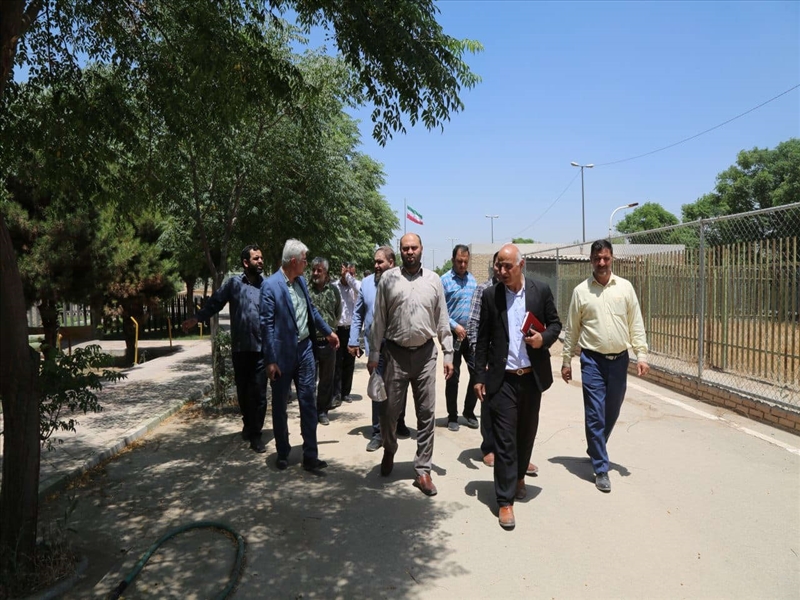 بازدید میدانی شهردار باقرشهر از