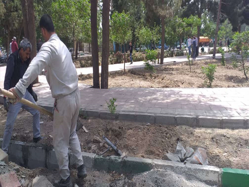 آدینه پرباری دیگر در تاریخ خدمت