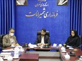 برگزاری کارگروه کنترل جمعیت حیوانات ناقل بیماری به انسان شمیرانات