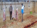 بازدید از کشتارگاه ها و مراکز عرضه دام به مناسبت عید سعید قربان
