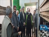 بازدید فرماندار و مسئولان قضایی از واحد تولید قارچ خوراکی ملارد