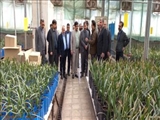 بازدید فرماندار و مسئولان قضایی از بزرگ‌ترین شرکت زیست‌فناوری گیاهی ایران در ملارد