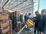 بازدید فرماندار ملارد از غرفه های توزیع میوه تنظیم بازاری شب عید 