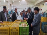 بازدید فرماندار ملارد از دو واحد تولیدی و صنعتی در شهرک صنعتی صفادشت