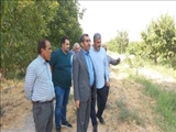 بررسی میدانی مشکلات مزرعه ۷۳۰ هکتاری حصارک غفاری با حضور فرماندار ملارد