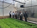 بررسی میدانی مشکلات مزرعه ۷۳۰ هکتاری حصارک غفاری ملارد با حضور دادستان و رئیس دادگستری